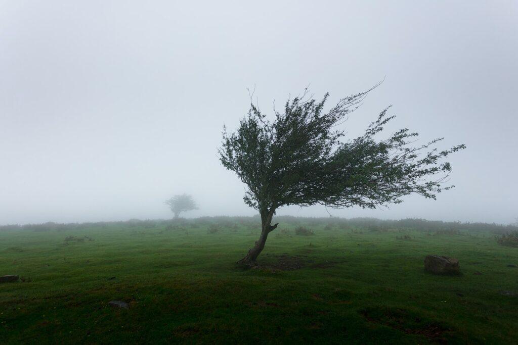 ঝড় আসছে