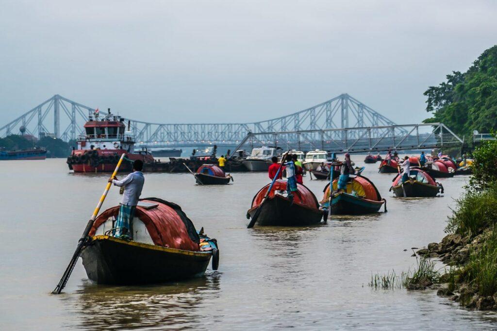 আর জঙ্গলে যাব না